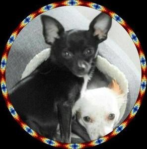 Meet your Posher, Darlene